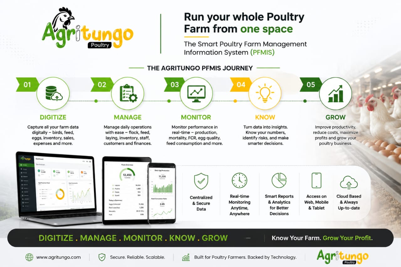 The Agritungo PFMIS journey: digitize your farm data, manage daily operations, monitor performance in real time, turn data into insights, and grow your poultry business.